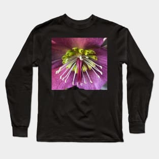 Exotic Floral Spray of the Purple Winter Hellebore Long Sleeve T-Shirt